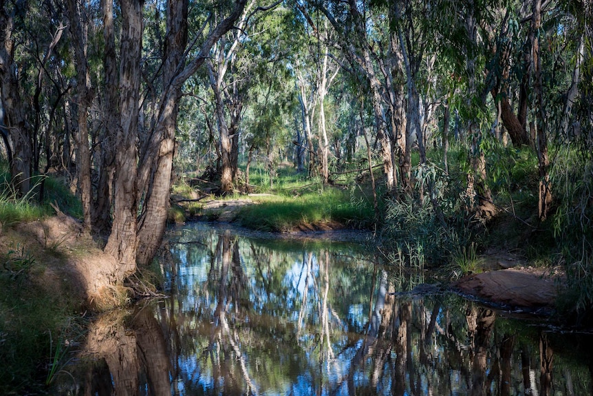 The Doongmabulla Springs is an artesian springs complex in central north Queensland