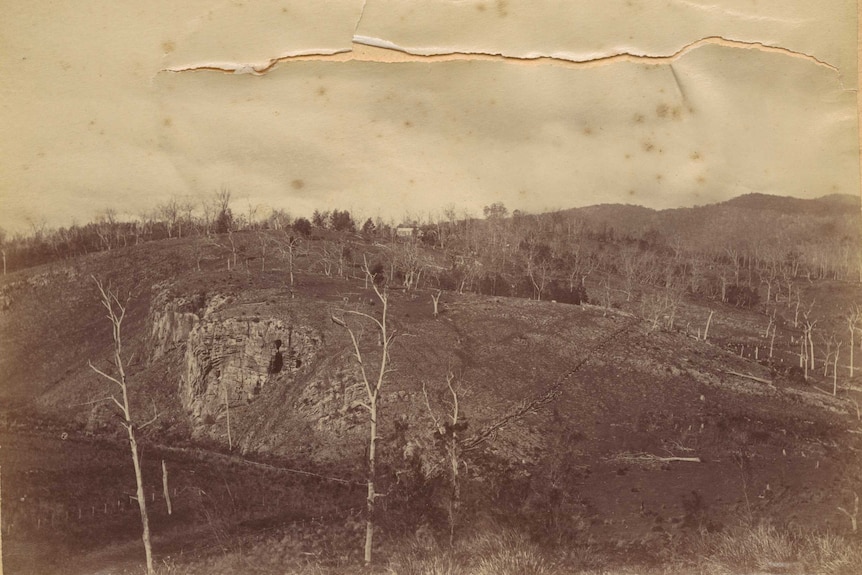 Black and white historic photo of a bushland cliff area.