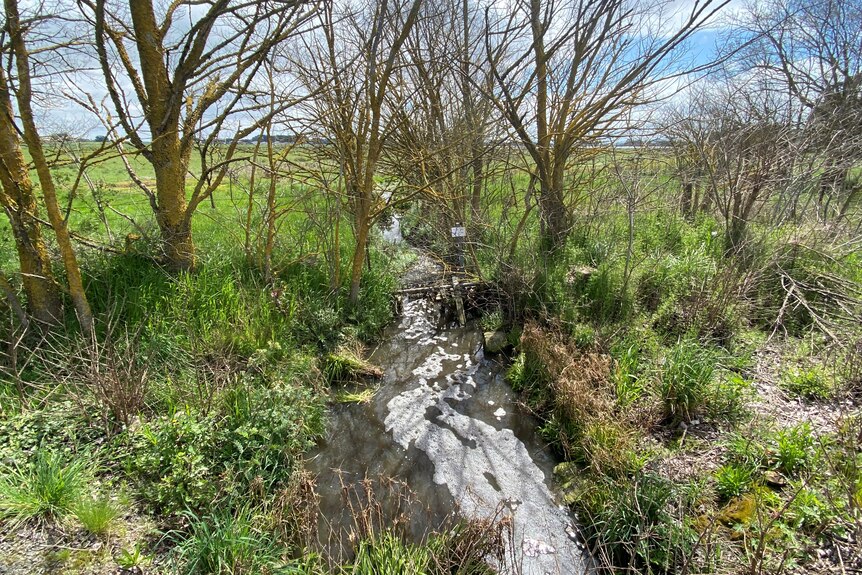A photo of a creek 