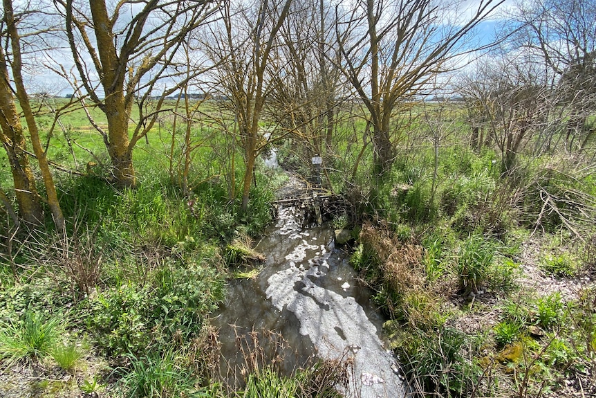 A picture of a creek on a farm
