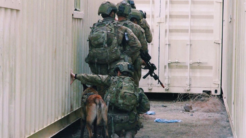 Soldiers stand in line in army uniform holding guns as one soldier kneels beside a dog