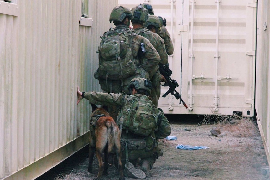 Soldiers stand in line in army uniform holding guns as one soldier kneels beside a dog