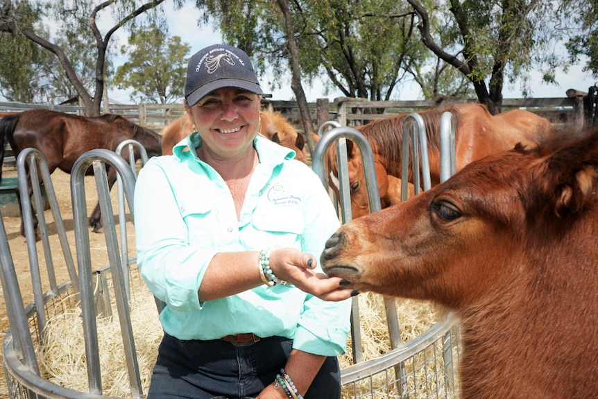 A woman wearing a cap, stroking the chin of a young, tan horse, with other horses in the background.