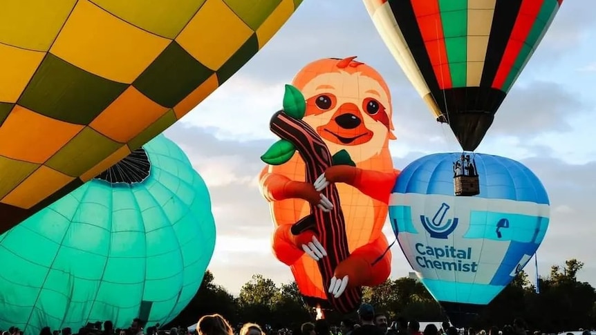 A hot air balloon in the shape of a sloth, with other balloons around it.
