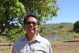 a man standing in front of a mango tree