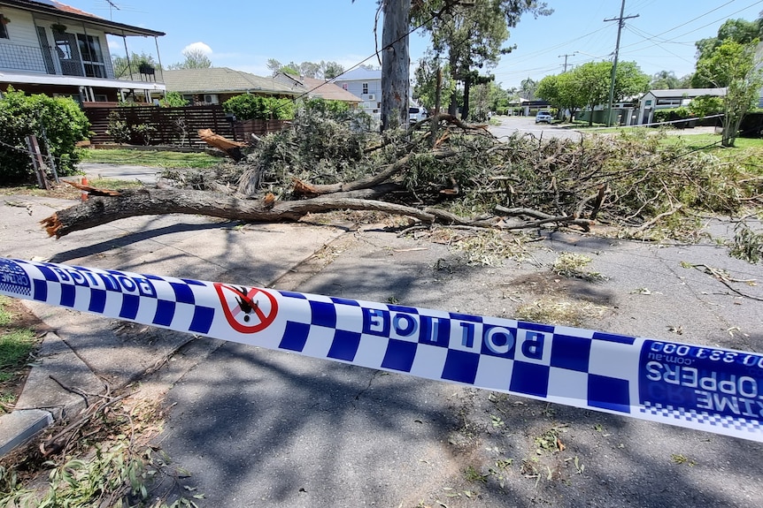 Police tape blocks a road that has tree branches fallen across it