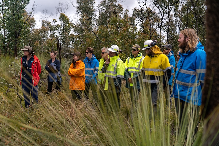 a group of people wearing high vis stand in grasslands looking at a trainer