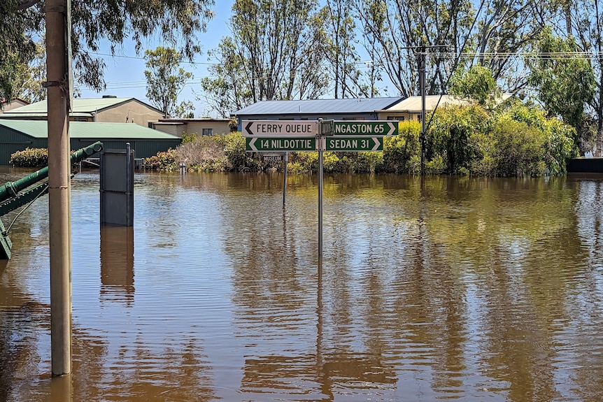 Green signs pointing to different towns is partially underwater in the main street of Swan Reach.