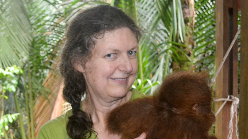A woman holds a baby orangutan, green foliage in background.