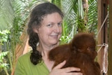 A woman holds a baby orangutan, green foliage in background.
