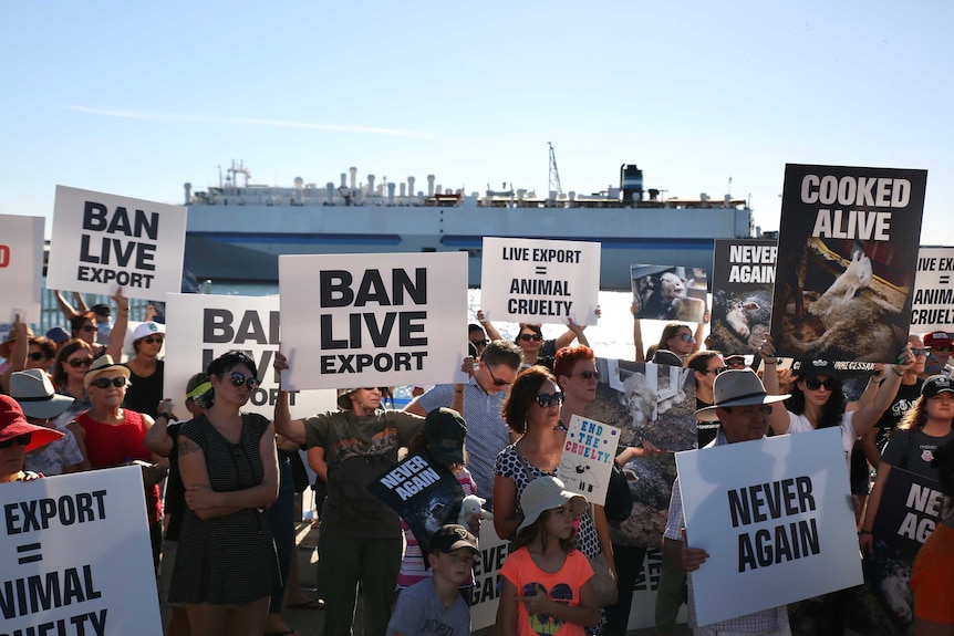 A group of protesters on the shoreline at Fremantle.
