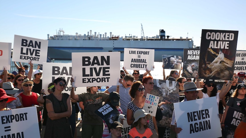 A group of protesters on the shoreline at Fremantle.