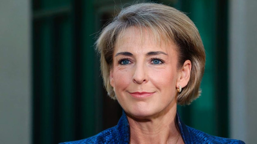 Michaelia Cash says the aim of the program is to get practical experience in a business.