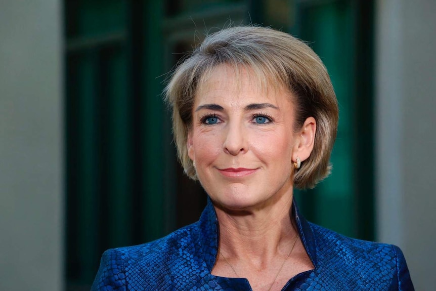 Michaelia Cash in Parliament House grounds.