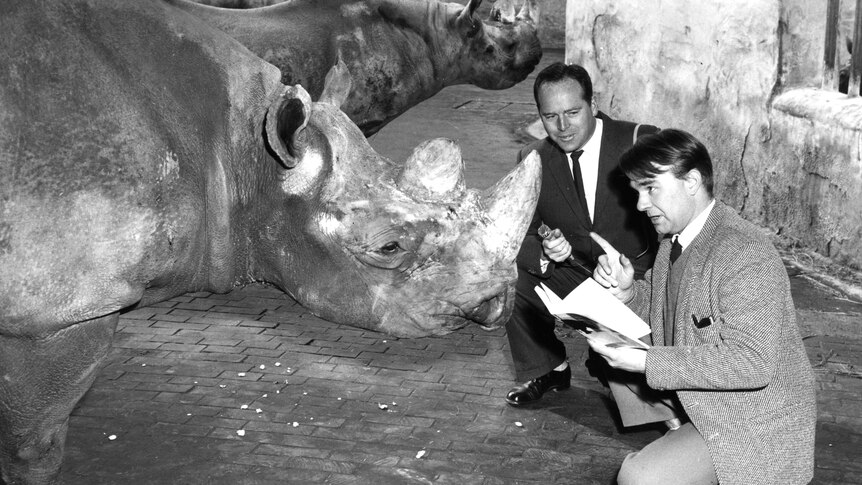 Black and white photo of two young men crouching down in front of a rhino with a microphone