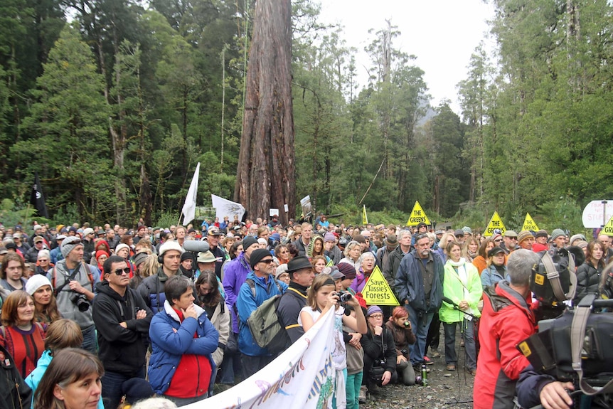 Protesters in Tasmania's Upper Florentine rally against plans to delist World Heritage forests, April 27.