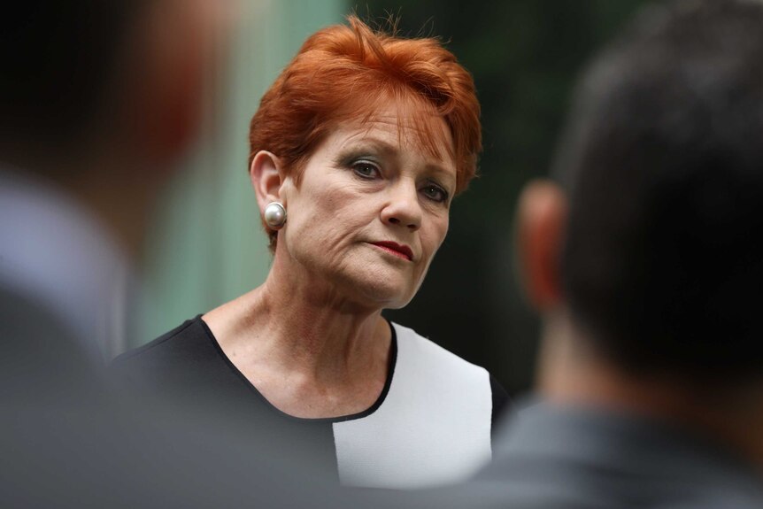 Pauline Hanson cocks her head to the side while looking down her nose between the shoulders of two men