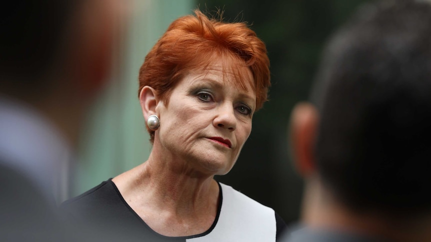Pauline Hanson cocks her head to the side while looking down her nose between the shoulders of two men