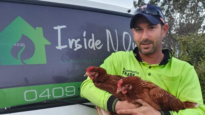 A man wearing yellow hi-vis shirt stands in front of a van and holds a chicken.