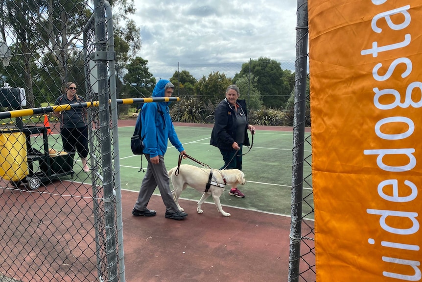 A trainee guide dog working through an obstacle course with handler and trainer.