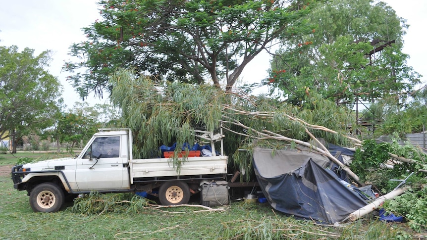 Crushing experience as tree crashes on campers