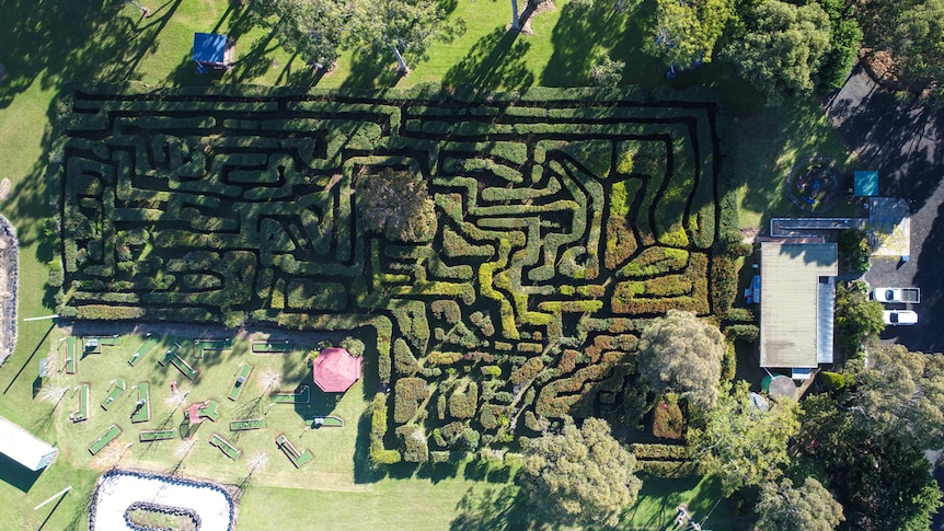 A large hedge maze viewed from above.