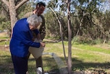 An elderly woman, helped by her adult grandson, waters a memorial tree.