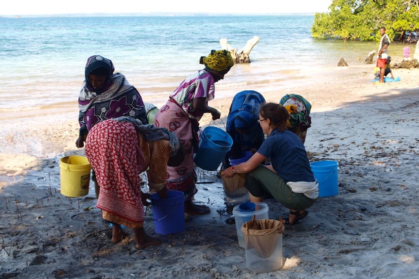 Processing sediment on Pemba Island