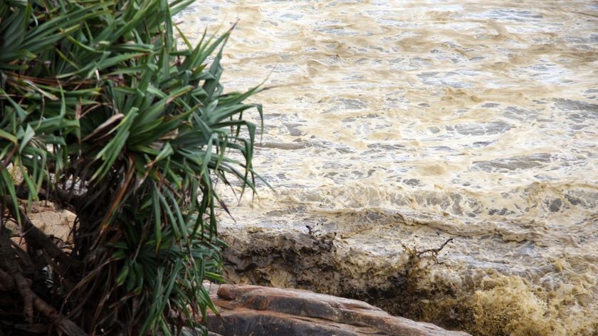 Beaches on Moreton Island, Bribie Island and parts of the Sunshine Coast have been declared disaster zones.