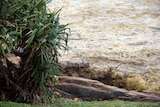 Beaches on Moreton Island, Bribie Island and parts of the Sunshine Coast have been declared disaster zones.