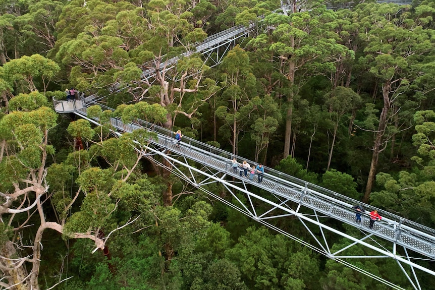 The eco-attraction draws 140,000 visitors each year