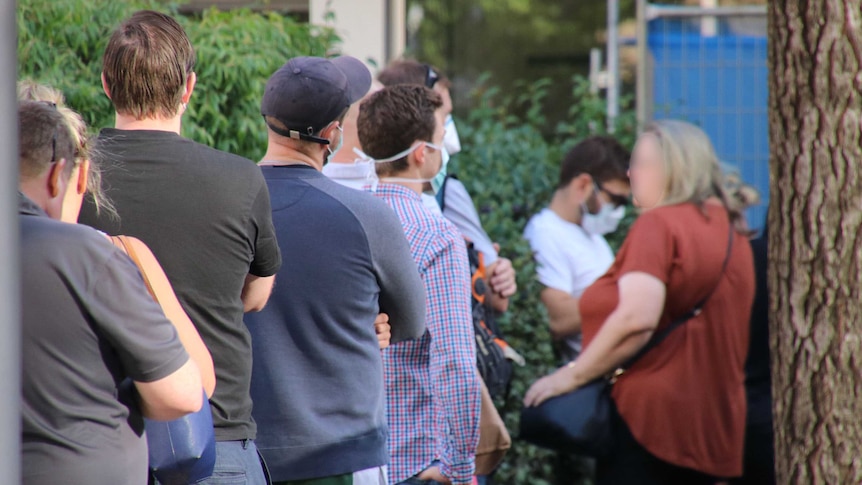 A queue of people, many wearing face masks, lines up in front of a hedge.