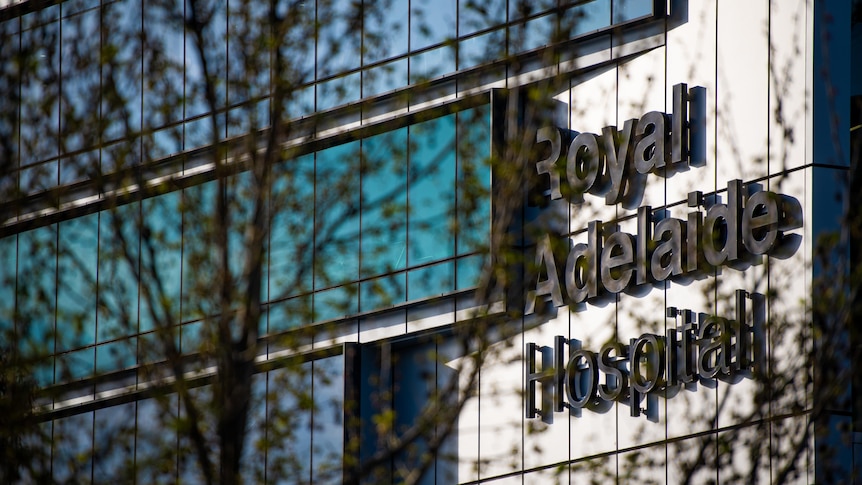 the Royal Adelaide Hospital sign on the front of the building with a tree in the foreground. 