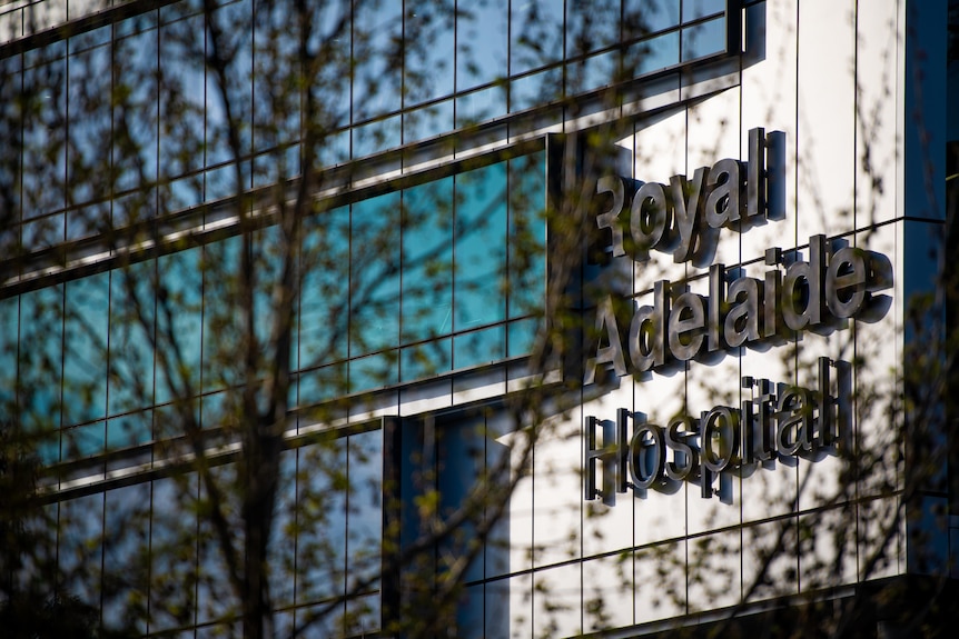 the Royal Adelaide Hospital sign on the front of the building with a tree in the foreground. 