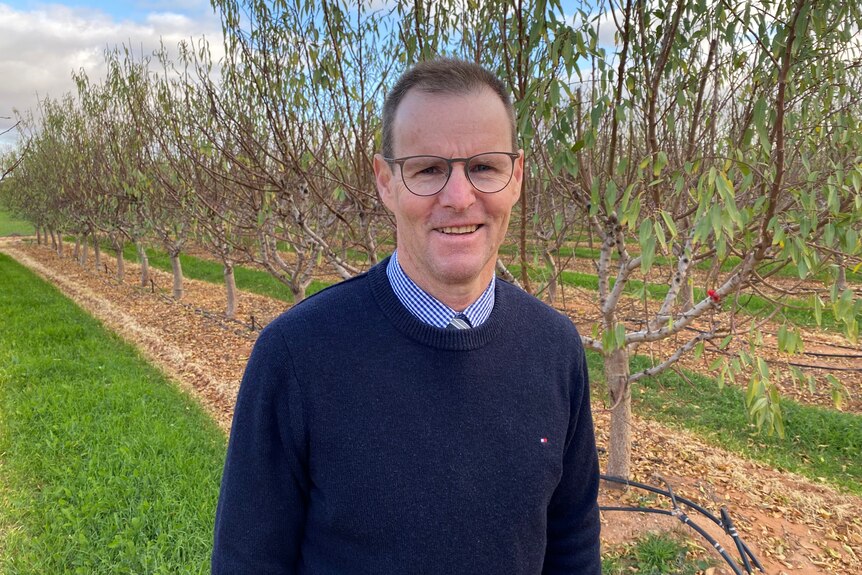 A man wearing a navy jumper and glasses standing in an orchard.