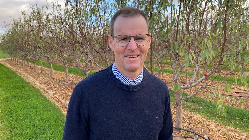 A man wearing a navy jumper and glasses standing in an orchard.