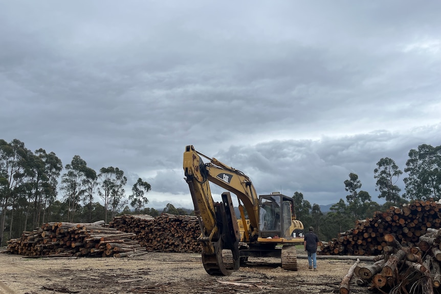 logs and harvesting equipment at a sawmill site in Club Terrace