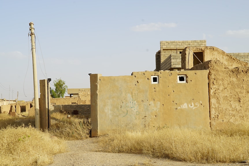 A wall with bullet marks