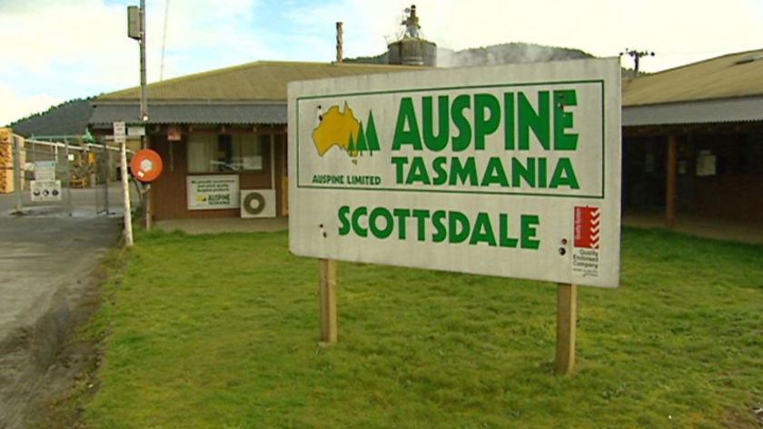 The AusIndustry package allocated $4 million to assist Gunns's Auspine sawmills.