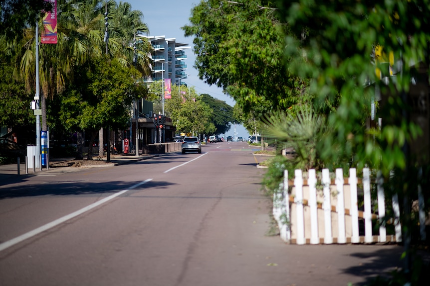 An empty street in Darwin. Lush trees are growing and no cars are parked.