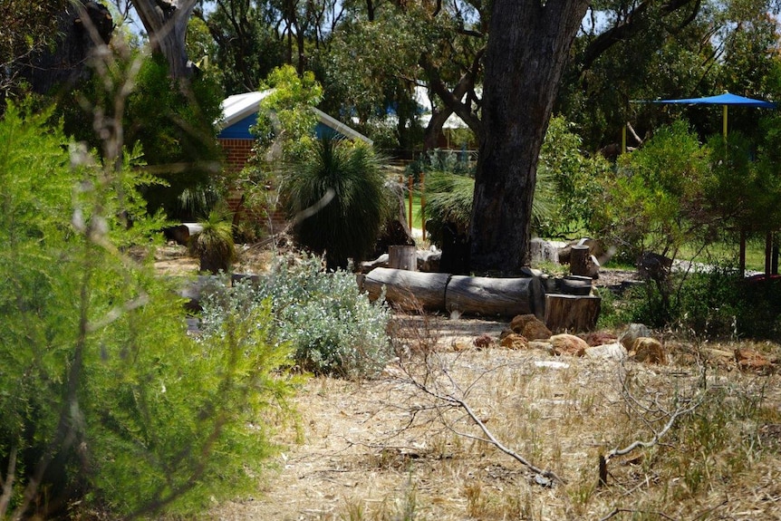 A wide shot of a nature area in a school playground with trees, bushes, wooden logs and rocks, and buildings in the background.