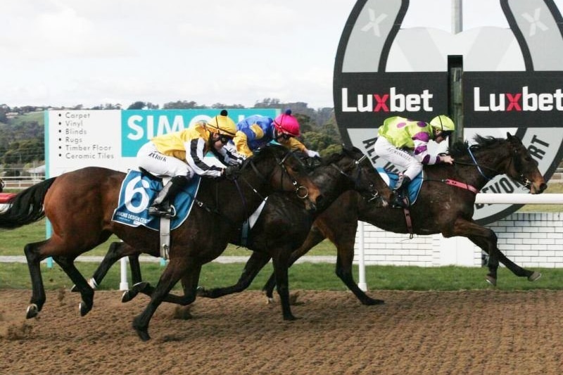 Jason Maskiell riding at Elwick race course, November 2018