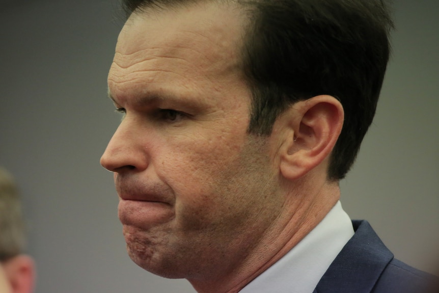 Matt Canavan, in side profile, grimaces slightly during a press conference