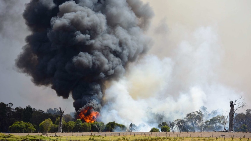 Smoke rises from a major bushfire.