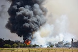 The bushfire burns at the edge of a field