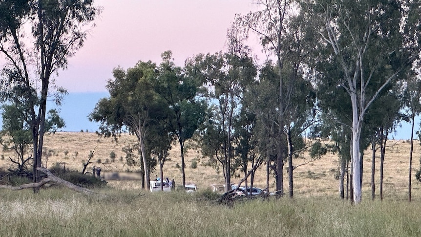 Two people look at charred wreckage in a paddock. There are cars nearby