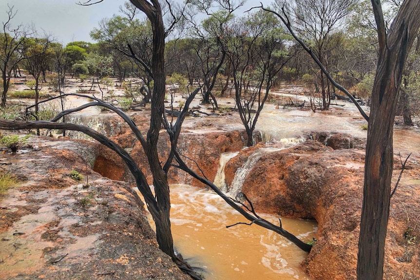 Water flows across rocky land. Some trees show some greenery.