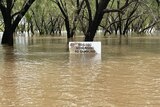 A sign saying 'no grog, no humbug, no gambling' in a flooded park