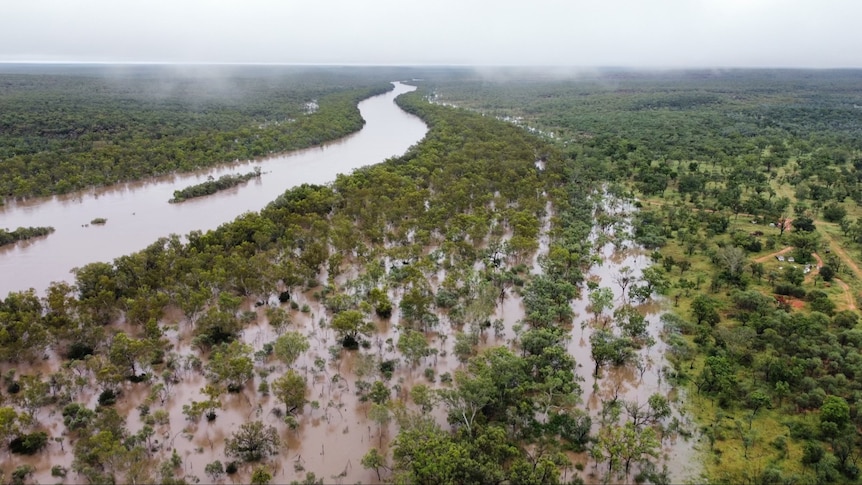 An aerial photo of a flooded river in bushland