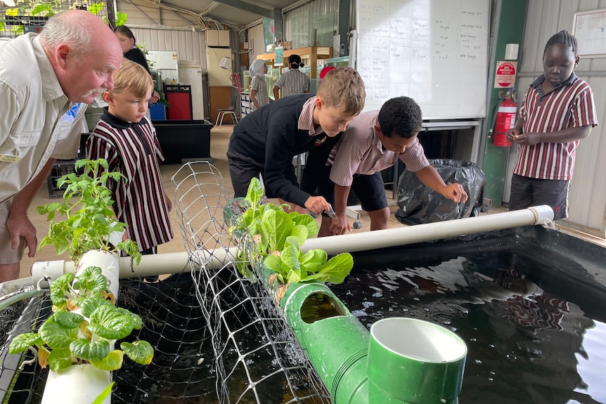 Image of students around a fish pond.